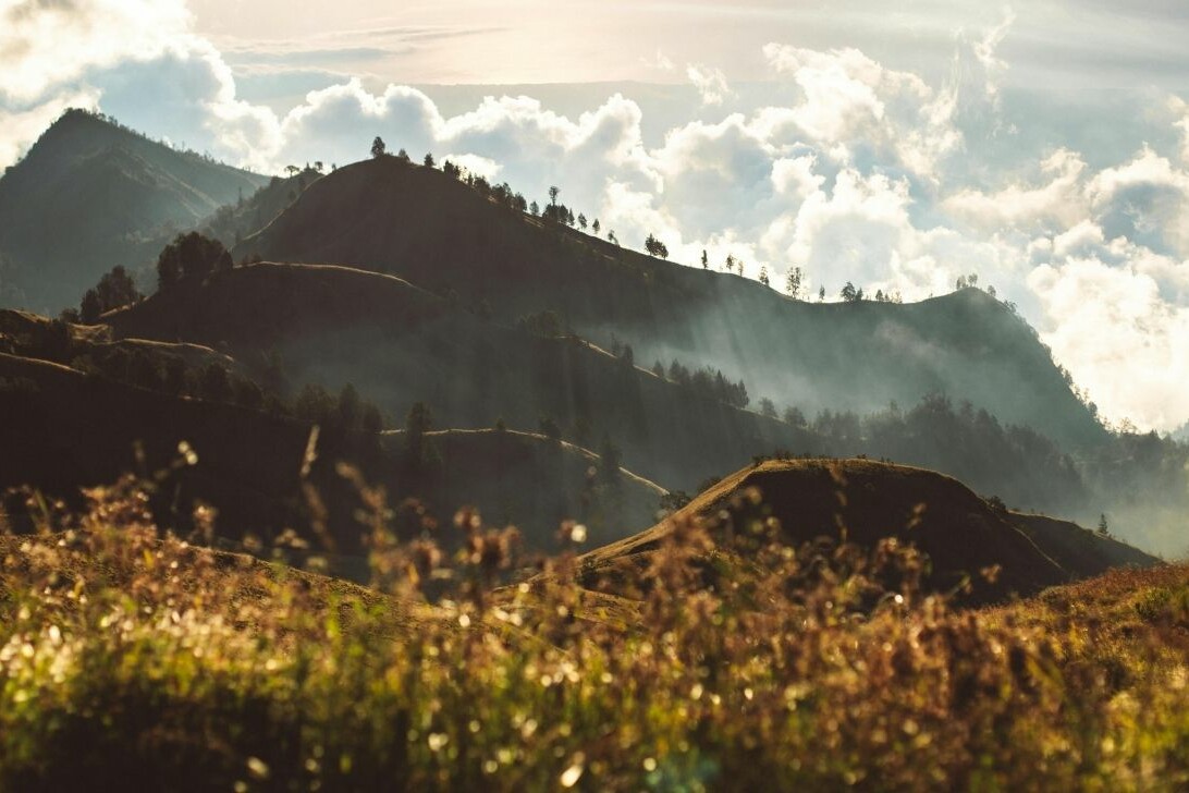 terrain bioclimatique