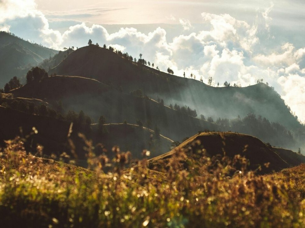 terrain bioclimatique